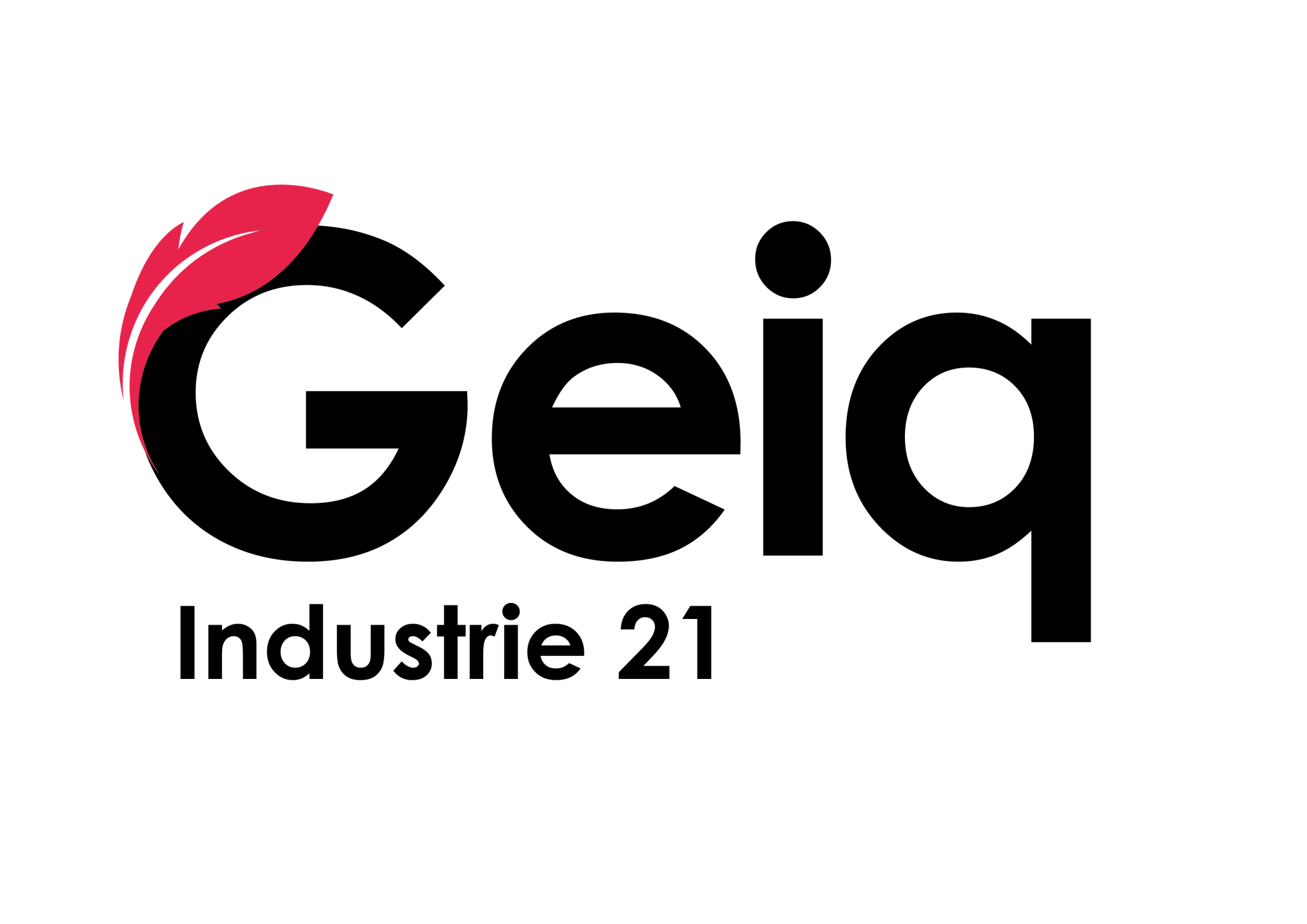 GEIQ 21